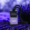 Car Diffuser French Lavender
